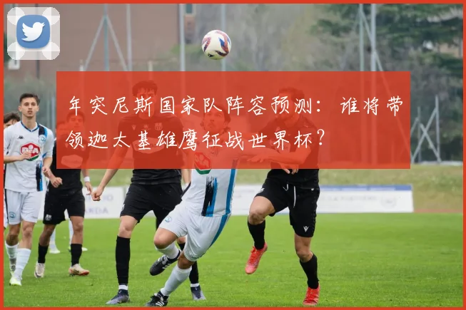 年突尼斯国家队阵容预测：谁将带领迦太基雄鹰征战世界杯？