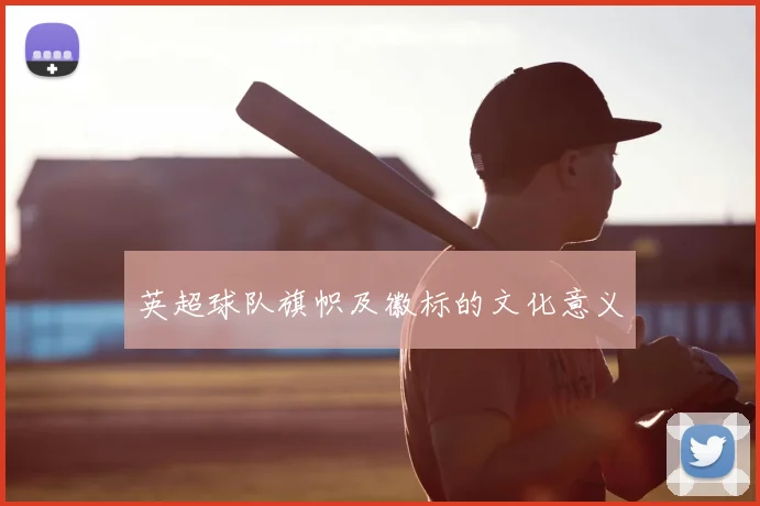 英超球队旗帜及徽标的文化意义